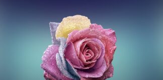 Jak poznać że facet udaje miłość?