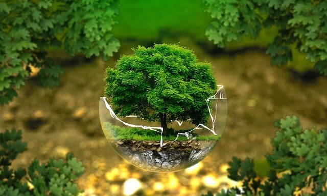 Jak wrócić do równowagi psychicznej?