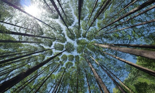 Jak pokonać nieśmiałość w łóżku?
