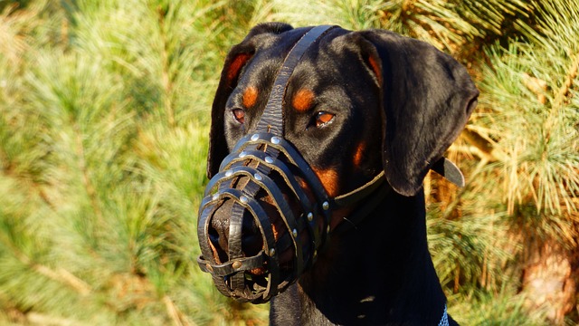 Jak stać się bardziej zdyscyplinowanym?