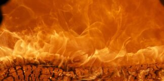 Jak wycenić markę firmy?