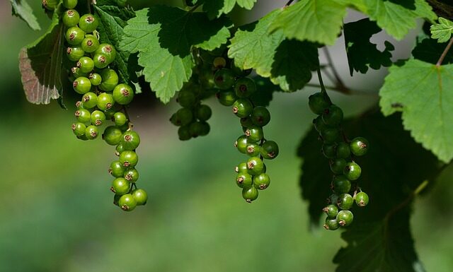 Jak leczyć niedojrzałość emocjonalna?