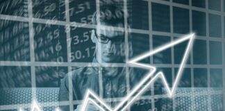 Jak obrać ścieżkę kariery?