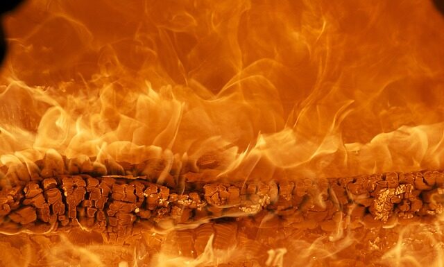 Jak budować własną markę?