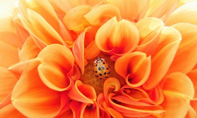 Jak efektywnie pracować w biurze? Jak efektywnie pracować w biurze?