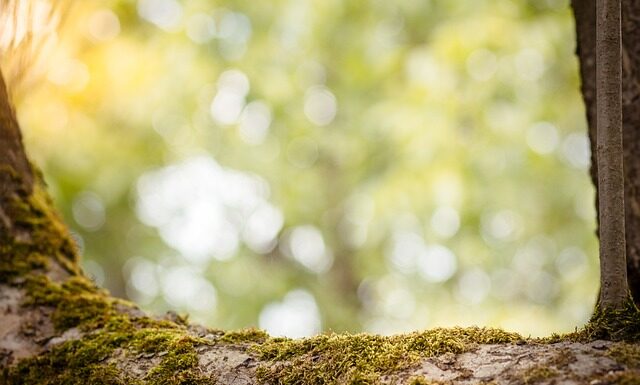 Co zwiększa zdolność kredytową?