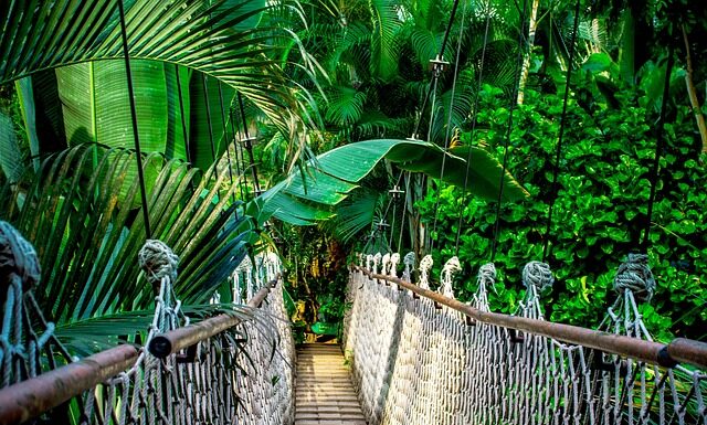 Czy opłaca się robić kursy Google? Czy opłaca się robić kursy Google?