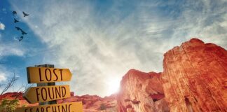 Ile kosztuje szyld na sklep?