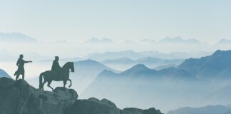 Jakiej funkcji używamy aby określić która kampania jest ważniejsza?