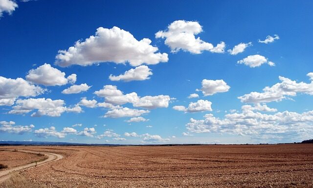 Jakie mogą być słabe strony pracownika? Jakie mogą być słabe strony pracownika?