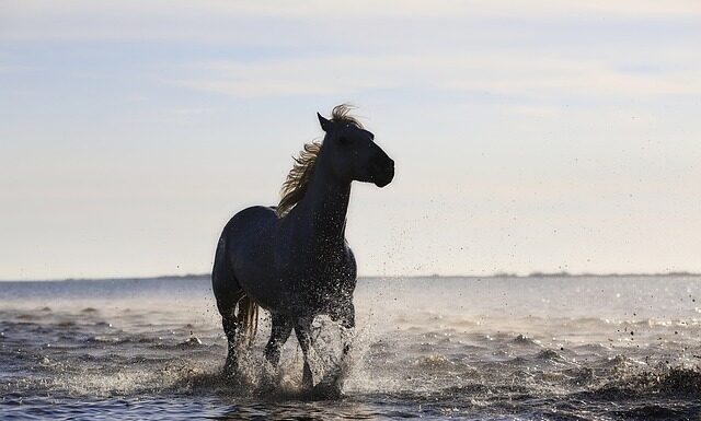 Co to są standardy obsługi klienta? Co to są standardy obsługi klienta?