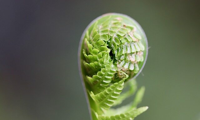 W jaki sposób rozwijać się w pracy? W jaki sposób rozwijać się w pracy?