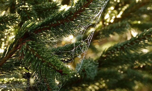 Jakie są potrzeby klientów? Jakie są potrzeby klientów?