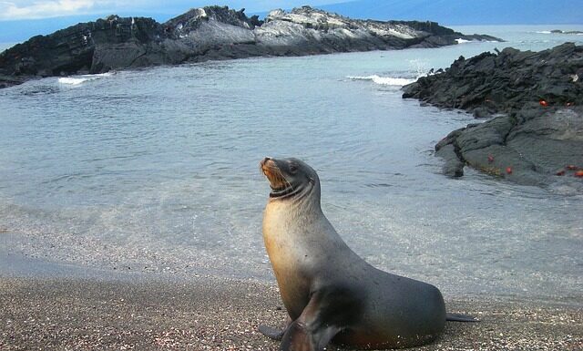 Jak być dobrym przyrodnikiem? Jak być dobrym przyrodnikiem?