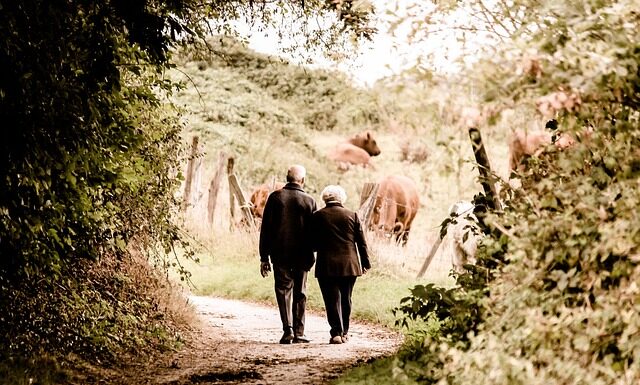 Ile wynosi emerytura profesora akademickiego? Ile wynosi emerytura profesora akademickiego?