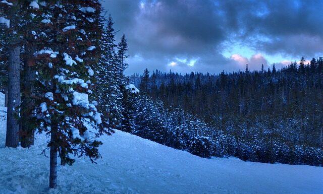 Czy licencjat to stopień naukowy? Czy licencjat to stopień naukowy?