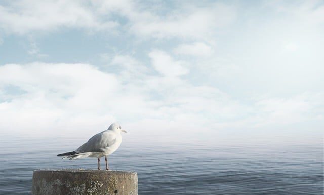 Jak uspokoić klienta? Jak uspokoić klienta?